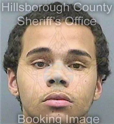 Thompson Shawn - Hillsborough County, FL 