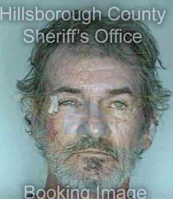 Mcelhaney Danny - Hillsborough County, FL 