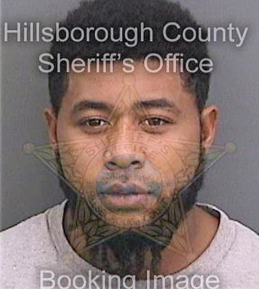 Landa David - Hillsborough County, FL 