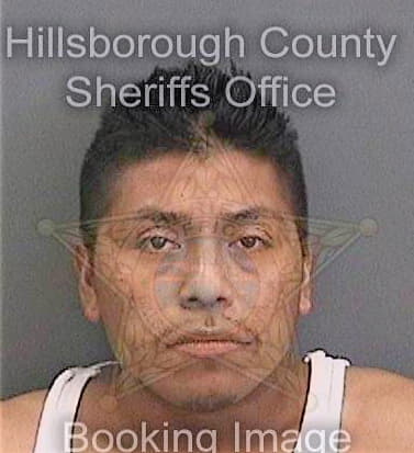 Ortizperez Elias - Hillsborough County, FL 