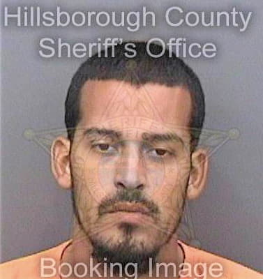 Gotayhernandez Emmanuel - Hillsborough County, FL 