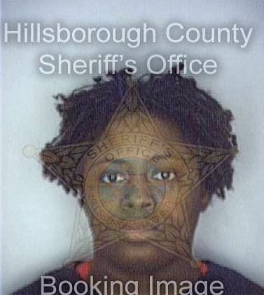 Mitchell Rashanda - Hillsborough County, FL 