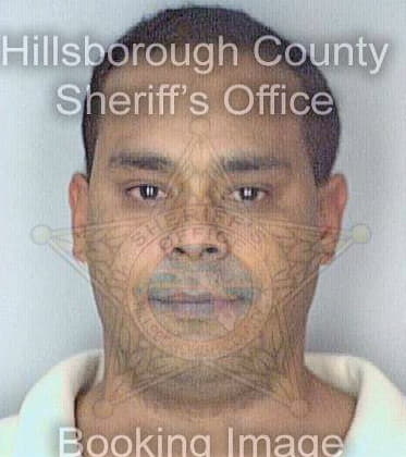 Davila Anthony - Hillsborough County, FL 