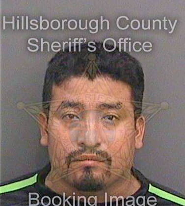 Espinosa Gamaliel - Hillsborough County, FL 