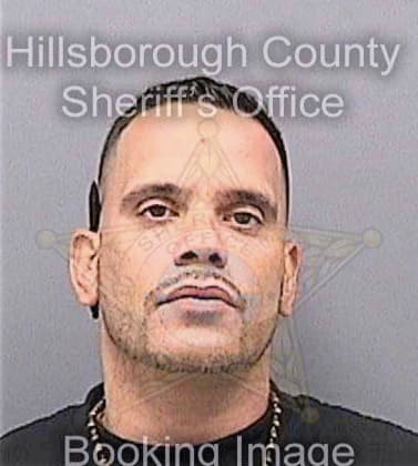 Echevarriaramirez Jose - Hillsborough County, FL 