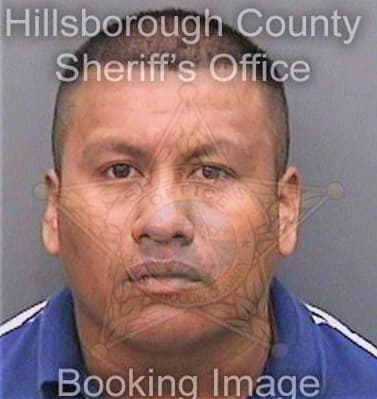 Osorioflores Reynaldo - Hillsborough County, FL 