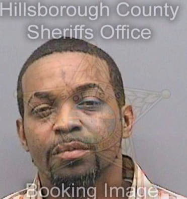 Johnson Corey - Hillsborough County, FL 