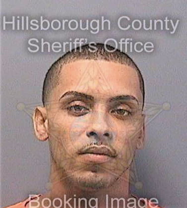 Garcia Eric - Hillsborough County, FL 