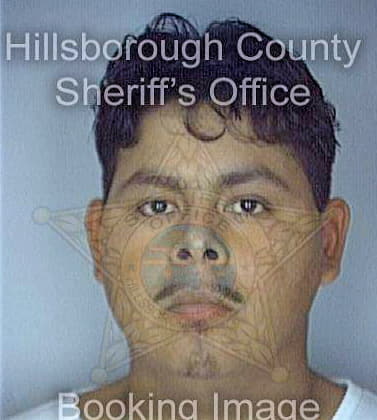 Buenavistagarcia Rodolfo - Hillsborough County, FL 