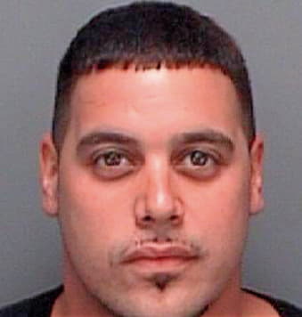 Hernandez Herman - Pinellas County, FL 