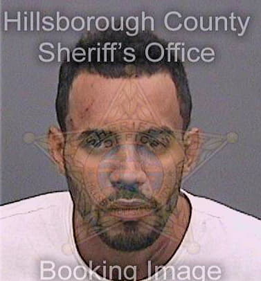 Pozo-Barroso Jose - Hillsborough County, FL 