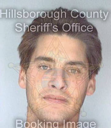 Signorelli Dominic - Hillsborough County, FL 