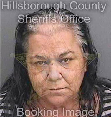 Garcia Modesta - Hillsborough County, FL 