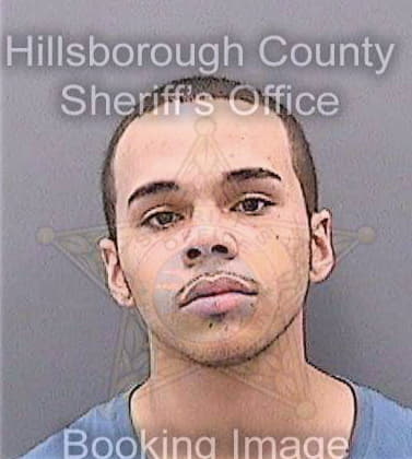 Thompson Shawn - Hillsborough County, FL 