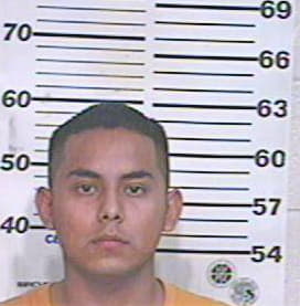 Hernandez Gustavo - Hidalgo County, TX 