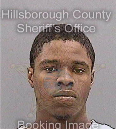 Gibson Twanshay - Hillsborough County, FL 