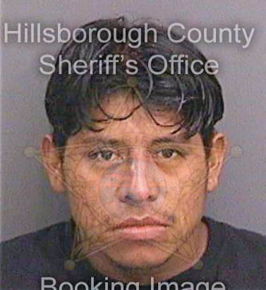 Ramirez Alfredo - Hillsborough County, FL 