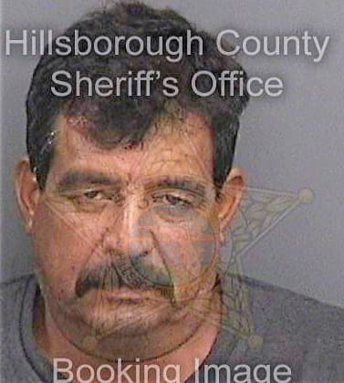 Solorzano Enrique - Hillsborough County, FL 