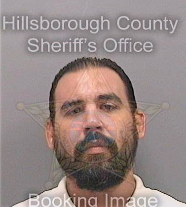 Sandoval Eliseo - Hillsborough County, FL 