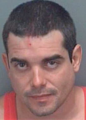 Romero Reynaldo - Pinellas County, FL 