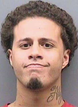 Gonzalez David - Hillsborough County, FL 