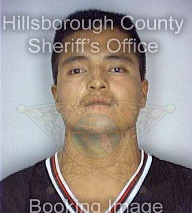 Carranza Guillermo - Hillsborough County, FL 