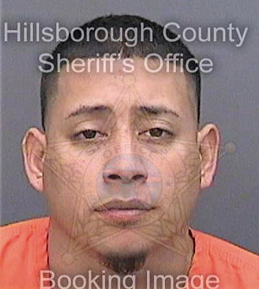 Castellano Jamie - Hillsborough County, FL 