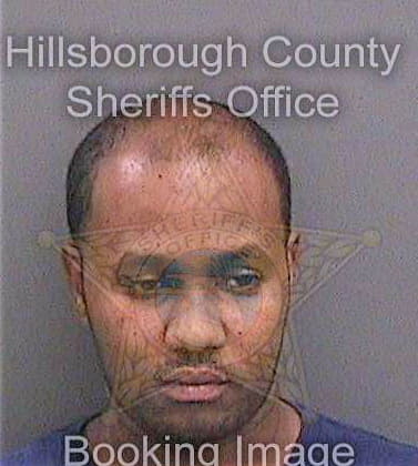 Eltahir Mohanad - Hillsborough County, FL 