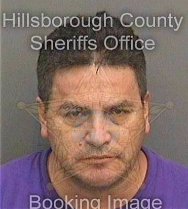 Meroona Herly - Hillsborough County, FL 