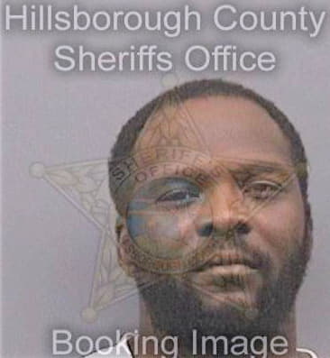 Johnson Larudy - Hillsborough County, FL 