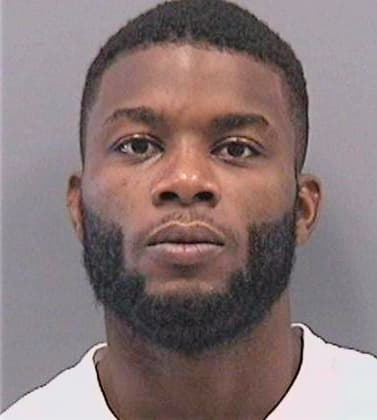 Culberth Tremaine - Hillsborough County, FL 