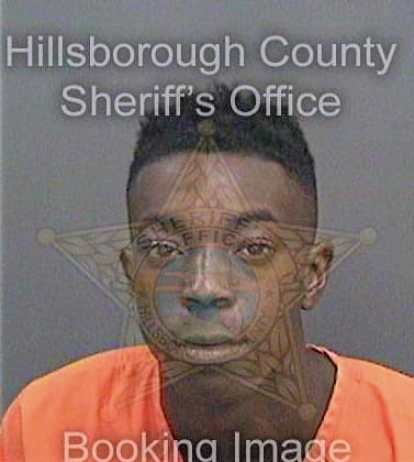 Walker Timothy - Hillsborough County, FL 