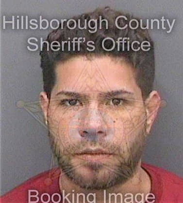 Nunez Josue - Hillsborough County, FL 