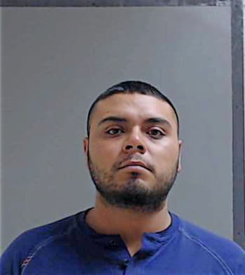 Alvarez Horacio - Hidalgo County, TX 