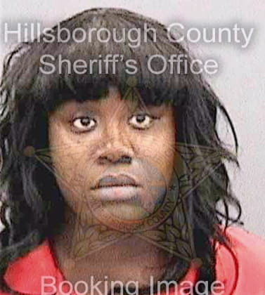 Mervin Michele - Hillsborough County, FL 
