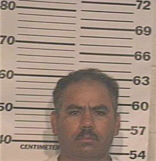 Mireles Javier - Hidalgo County, TX 