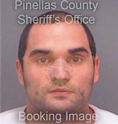 Rodriguez Pedro - Pinellas County, FL 