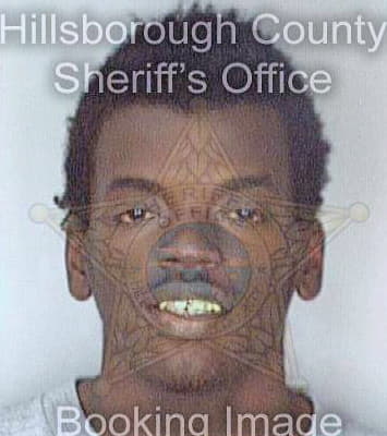 Simpkins Antawan - Hillsborough County, FL 