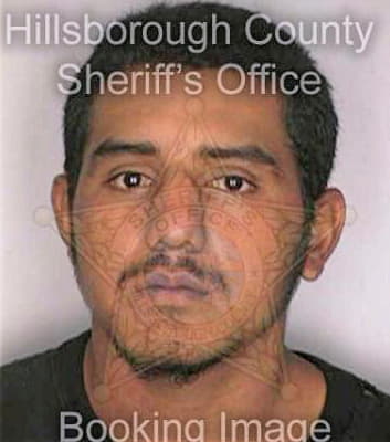 Hernandez Ivan - Hillsborough County, FL 
