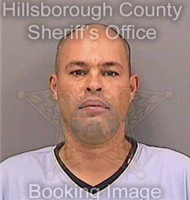 Velez Steven - Hillsborough County, FL 