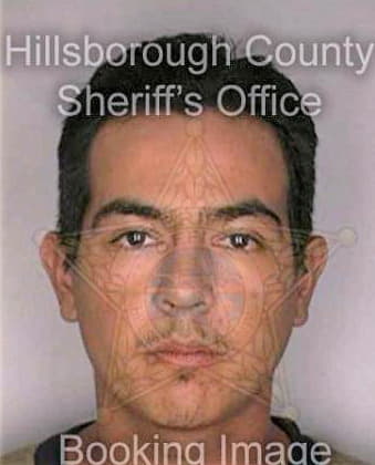 Juarez Antonio - Hillsborough County, FL 