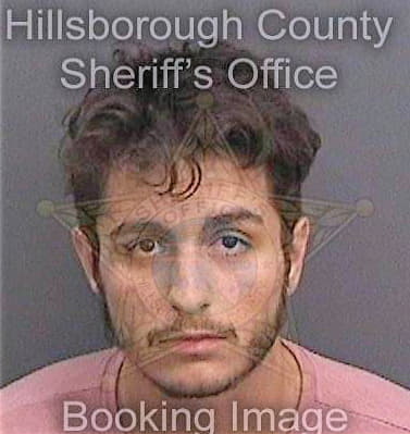 Bolger Erik - Hillsborough County, FL 