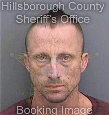 Lawrence Michael - Hillsborough County, FL 