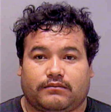 Sanchez-Sanchez Mario - Lee County, FL 