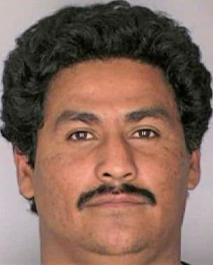 Mejia Everardo - Hillsborough County, FL 