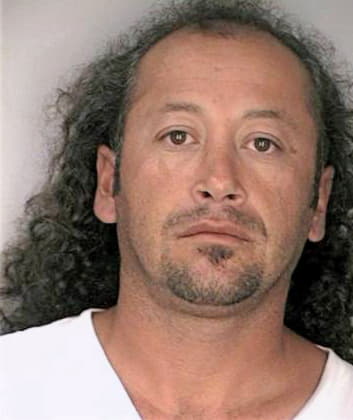 Bonilla Luis - Hillsborough County, FL 