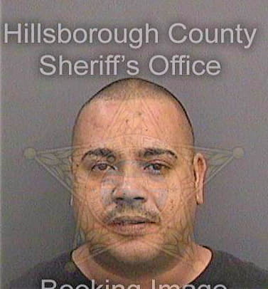 Negron Wilfredo - Hillsborough County, FL 