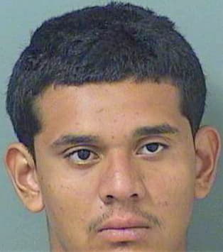 Hernandez Carlos - PalmBeach County, FL 