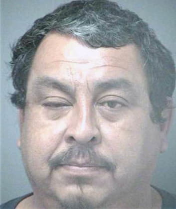 Guitron Rolando - Hillsborough County, FL 