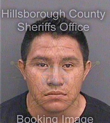 Perezjimenez Marcelino - Hillsborough County, FL 